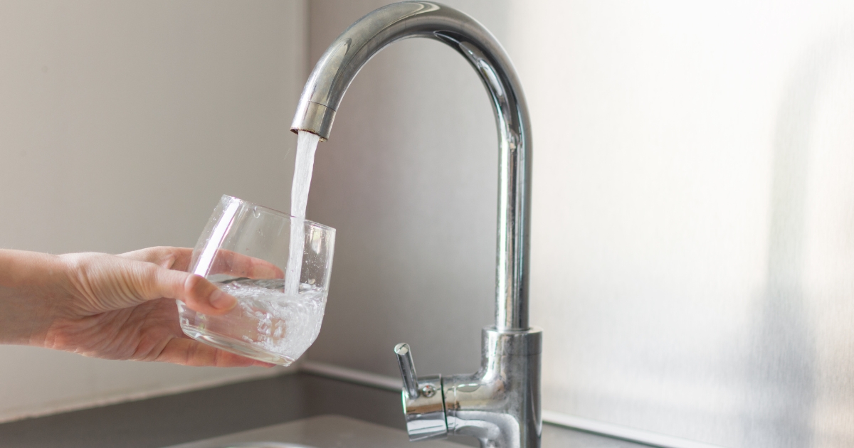 Backflow Testing (2)